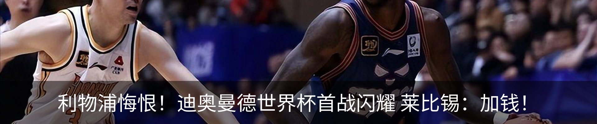 新闻动态